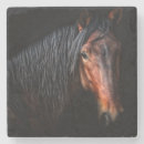 Search for horse coasters Animals