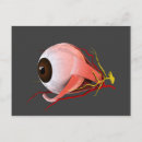 Search for human eye postcards No people