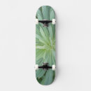 Search for 4 leaf skateboards Abstract