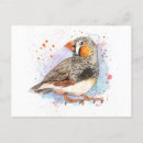 Search for finches postcards Animal