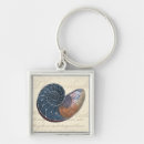 Search for seashell key rings Ocean