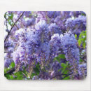 Search for wisteria mousepads Vine