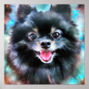 Search for pomeranian puppy posters Animal