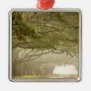 Search for savannah christmas tree decorations Usa