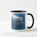 Search for beluga whales mugs Animals
