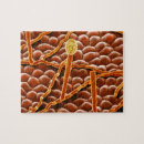 Search for electronic puzzles Colour effect