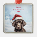 Search for german shorthaired pointer christmas tree decorations pet