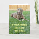 Search for weimaraner birthday cards Humour