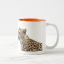 Search for acinonyx mugs Cheetah