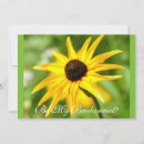 Search for black eyed susan invitations Party