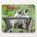 Search for dog friend mousepads Funny