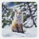 Search for vulpes stickers Fox
