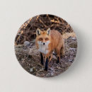 Search for wild dog badges Canine