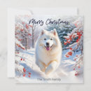 Search for samoyed christmas cards Dog breed