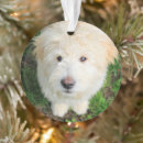 Search for mixed breed dog christmas tree decorations Animal