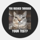 Search for birthday blessings stickers Birthday vibes check