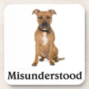 Search for misunderstood Pet