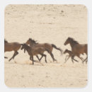 Search for running wild stickers Horse