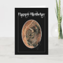 Search for bison birthday cards Funny