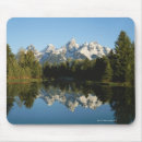 Search for tetons electronics Nature