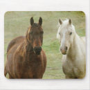 Search for digital horse mousepads Equine
