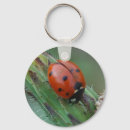 Search for bug key rings Garden