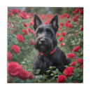 Search for red and black tiles Scottish