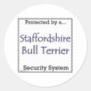 Search for secured stickers Dog