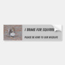 Search for i brake for squirrels bumper stickers Rodent