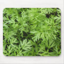Search for carrots mousepads Nature