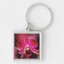 Search for orchid key rings Nature