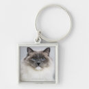 Search for ragdoll key rings Feline