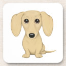 Search for blonde barware Dog