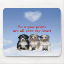 Search for herding dog electronics Aussie