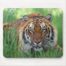 Search for tiger eyes mousepads Cat