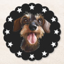 Search for dachshund coasters Dachsie