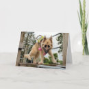 Search for goofy cards Photography