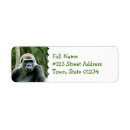 Search for gorillas return address labels Primate
