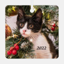 Search for white cat christmas tree decorations Animal