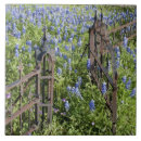 Search for cemetery tiles Colourful