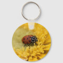Search for lady bug key rings Insect