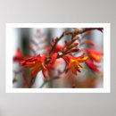 Search for depth photography Flowers