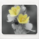 Search for beetle electronics Floral