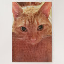 Search for cute ginger cat puzzles Orange