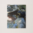 Search for otter puzzles Wildlife