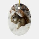Search for squirrel christmas tree decorations Winter