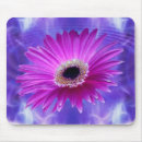 Search for gerber daisy mousepads Flora