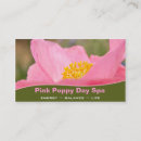 Search for photography business stationery Appointment