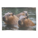 Search for river pillowcases Wildlife