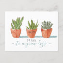 Search for potted plant invitations Cactus